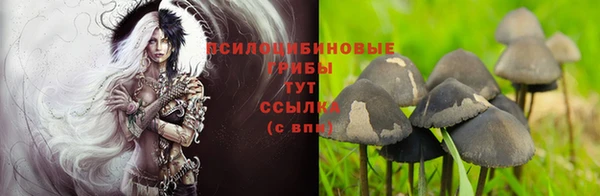 МДПВ Дмитров