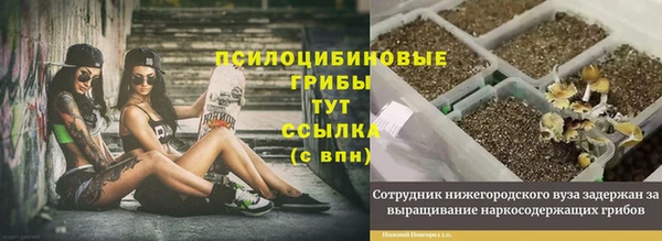 гашиш Дмитриев